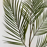 Green Faux Palm Areca Stem