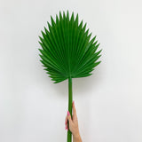 Faux Green Fan Palm Leaf Stem