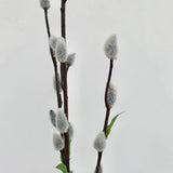 Faux Grey Pussy Willow Stem