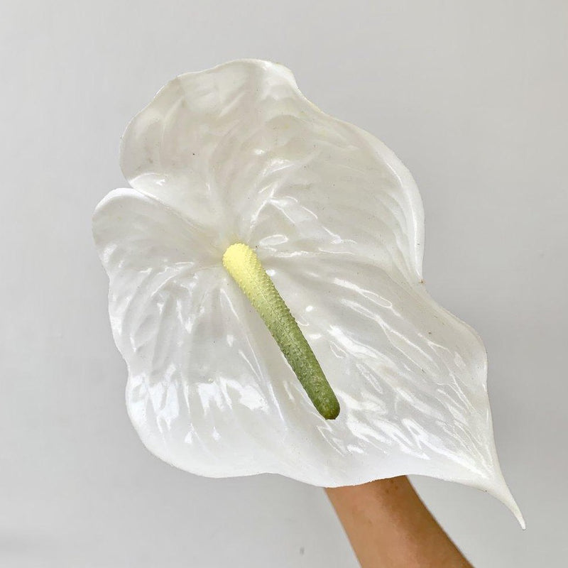 Simple White Faux Anthurium Stem