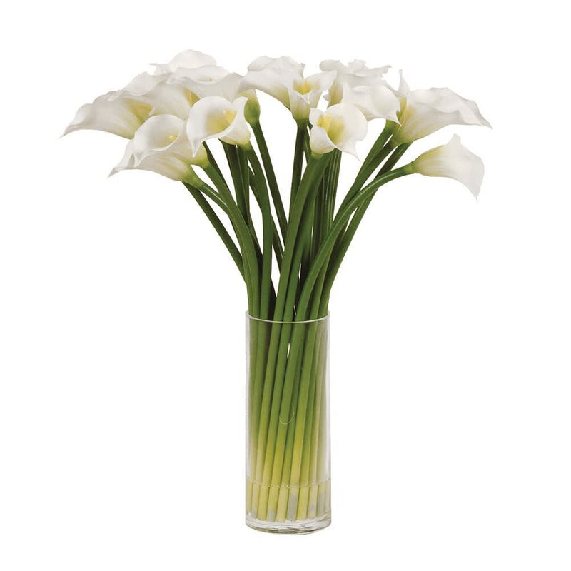 White Calla Lilies Pre-set in Glass Column Vase