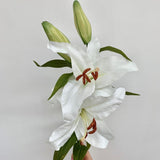 Faux White Casablanca Lily Spray With Buds