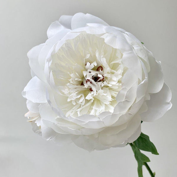 White Large Full Bloom Faux Peony With Bud