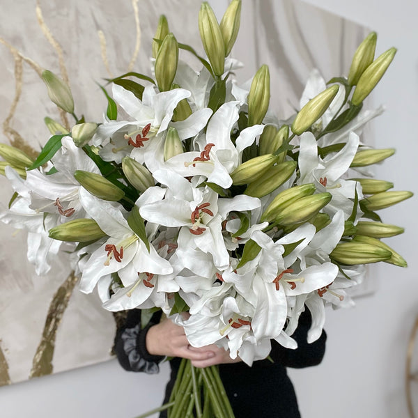 Faux White Casablanca Lily Spray With Buds